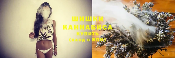 мдпв Козловка
